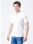 Regular Fit Düz Açık Kahve Erkek Polo T-Shirt - 222 Lcm 242049 Tylen 5