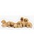 Golden Yavrusu Köpek Sticker Araba Oto Yapıştırması 17CM A8 1