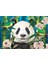 260 Parçalık Puzzle / Panda - Kod 3335 2