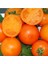 Mandarin Orange Domates Tohumu 1