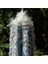 Pilosocereus Leucocephalus Kaktüs Tohumu 1