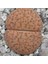 Lithops Fulviceps ‘lydiae’ Sukulent Tohumu 1