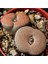 Lithops Terricolor ‘peersii’ Sukulent Tohumu 1