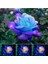 Night Blue Gül Tohumu 5 Adet 1
