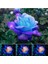 5 Adet Night Blue Gül Tohumu 1