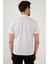 Regular Fit Pamuklu Düğmeli Polo T Shirt Erkek Polo 5902326 5