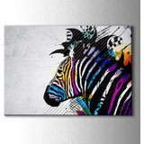 Doluduvar Renkli Zebra Kanvas Tablo