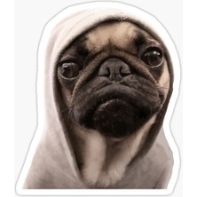 Pug Irkı Cinsi Köpek Sticker Araba Oto Leptop 17CM N3