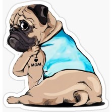 Pug Irkı Cinsi Köpek Sticker Araba Oto Leptop 17CM N6