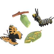 Honeyge Kelebek Yaşam Döngüsü Katı Plastik Oyuncak Vahşi Hayvan Böcek Büyüme Döngüsü Öğretim Yardımı (Yurt Dışından)