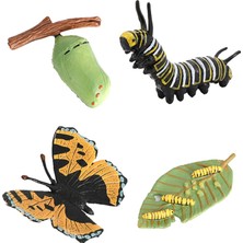 Honeyge Kelebek Yaşam Döngüsü Katı Plastik Oyuncak Vahşi Hayvan Böcek Büyüme Döngüsü Öğretim Yardımı (Yurt Dışından)
