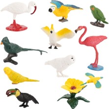 Honeyge 10 Parça Oyuncak Mini Kuş Modeli Set Flamingo Parakeet Simülasyonu Çocuk Hediye Için (Yurt Dışından)