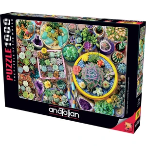 1000 Parçalık Puzzle - Kaktüsler 1122