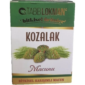 Tabib Lokman Kozalak Macunu 240 gr