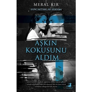 Aşkın Kokusunu Aldım - Meral Kır