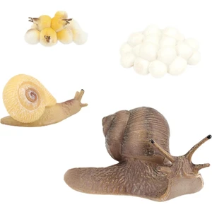 El Boyalı Salyangoz Büyüme Yaşam Döngüsü Playset Çocuk Öğrenme Hayal Gücü Oyuncaklar (Yurt Dışından)