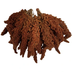 Ankara Yem Evi Tilki Kuyruğu Kızıl Dal Darı 100 gr