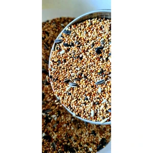 Ankara Yem Evi Forpus Sultan Cennet Sevda Papağanı Yemi 500 gr