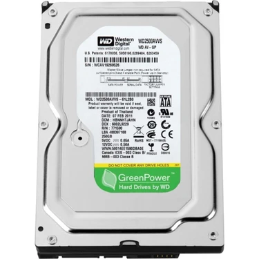 WD Güvenlik Disk 250 GB