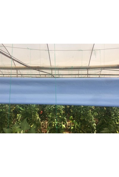 Biogreen 15 cm x 100 m Mavi Rulo Tuzak