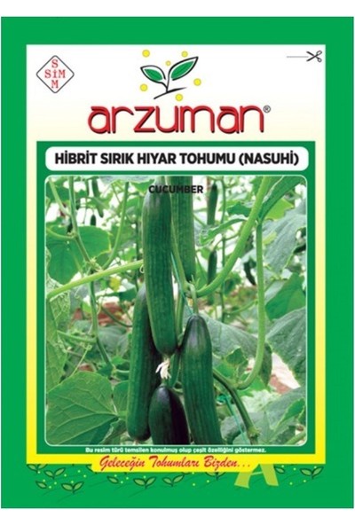 Arzuman Hibrit Sırık Salatalık Tohumu