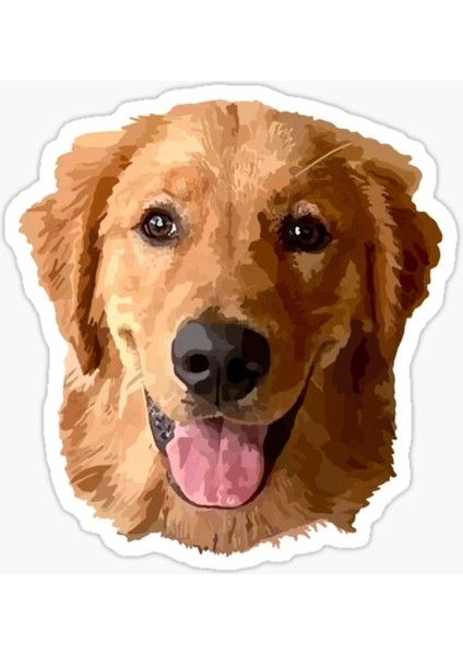 Golden Retriever Köpek Sticker Araba Oto Leptop 17CM A6