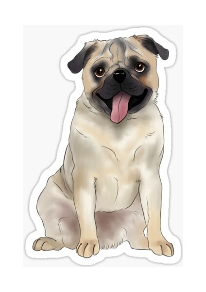 Pug Irkı Cinsi Köpek Sticker Araba Oto Leptop 17CM A3