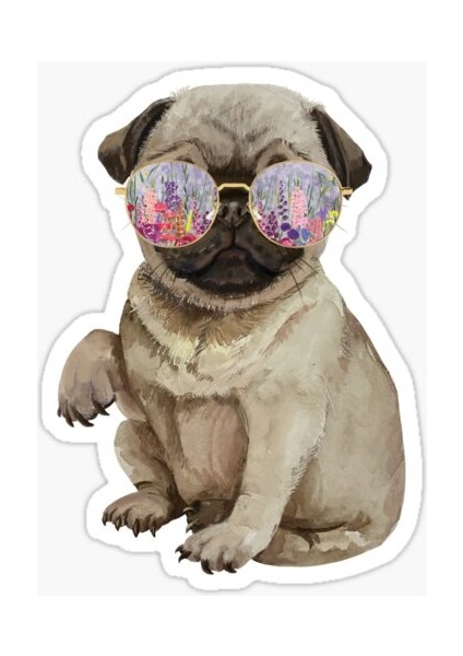 Pug Irkı Cinsi Köpek Sticker Araba Oto Leptop 17CM F4