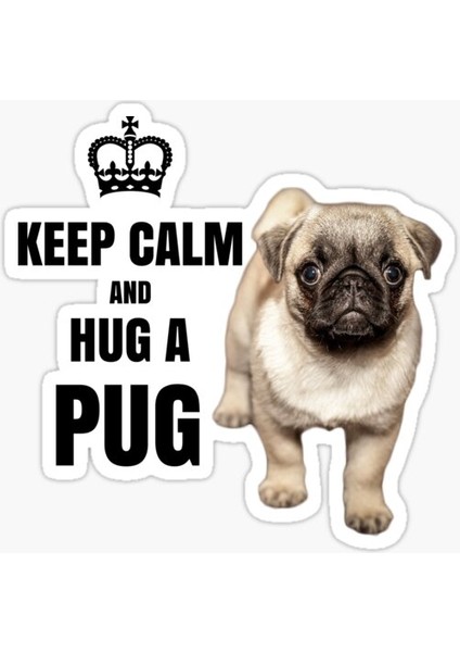 Pug Yavru Cinsi Köpek Sticker Araba Oto Leptop 17CM A2