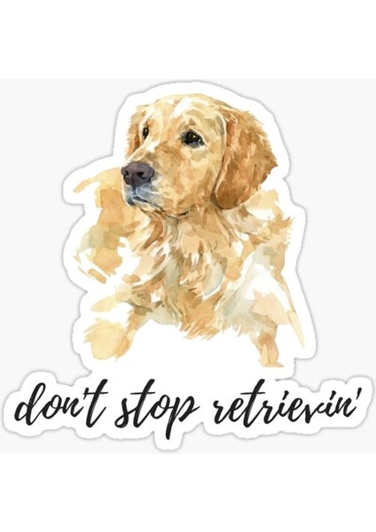 Golden Retriever Köpek Sticker Araba Oto Leptop 17CM A3