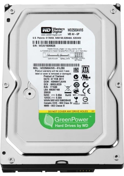 Güvenlik Disk 250 GB HDD