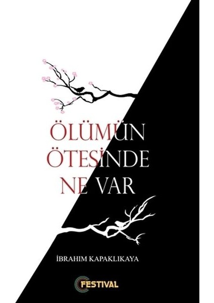 Ölümün Ötesinde Ne Var ? - İbrahim Kapaklıkaya