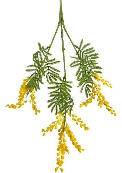 Yapay Çiçek Sarı Mimoza Uzun Dal 75CM 3dallı Minosa Yapay Bitki
