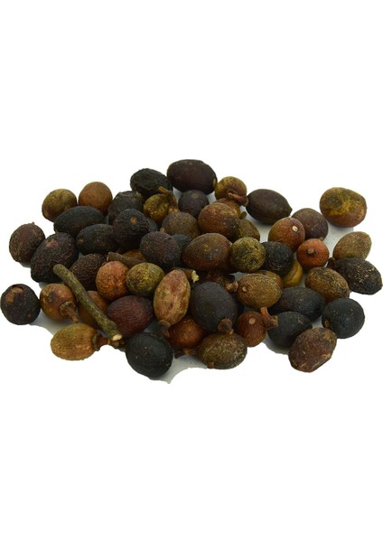 Defne Tohumu 100 gr Paket