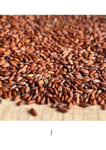 Tere Tohumu 100 Gram Ilaçsızdır. fiyatları
