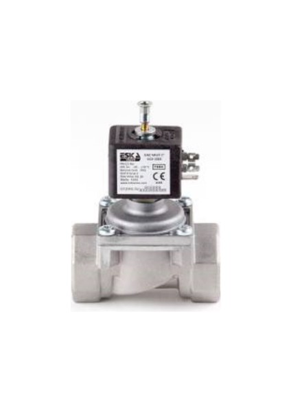 Eska Selenoid Vana 11/2" fiyatları