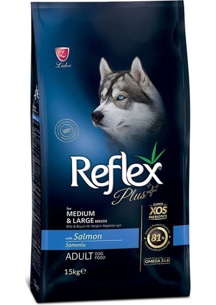 Plus Orta ve Büyük Irk Somonlu Yetişkin Köpek Maması 15 kg