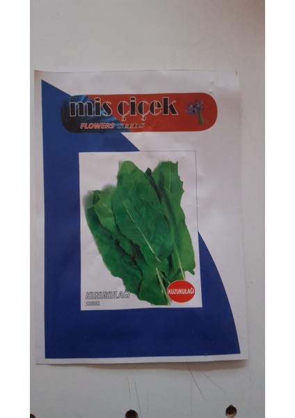 Pazı Tohumu Sebze Tohumlarımız Taze ve Yüksek Verimlidir.