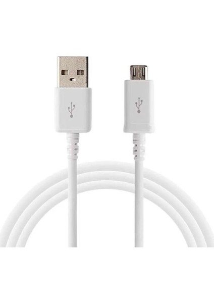 2.1 A Hızlı Şarj Aleti Mikro USB Home Charger