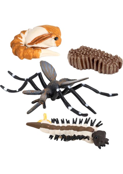 Çocuk Böcek Sivrisinek Büyüme Modeli Playset Öğrenme Biyoloji Oyuncaklar Temalı Parti (Yurt Dışından)