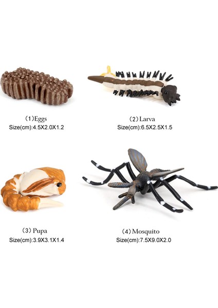 Çocuk Böcek Sivrisinek Büyüme Modeli Playset Öğrenme Biyoloji Oyuncaklar Temalı Parti (Yurt Dışından)