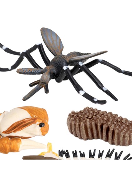 Çocuk Böcek Sivrisinek Büyüme Modeli Playset Öğrenme Biyoloji Oyuncaklar Temalı Parti (Yurt Dışından)