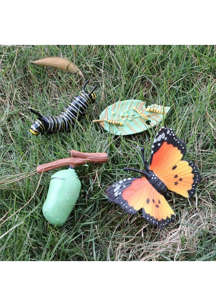 Çocuklar Böcek Yaşam Döngüsü Kelebek Büyüme Playset Hayal Gibi Iogy Oyuncaklar B (Yurt Dışından) modelleri
