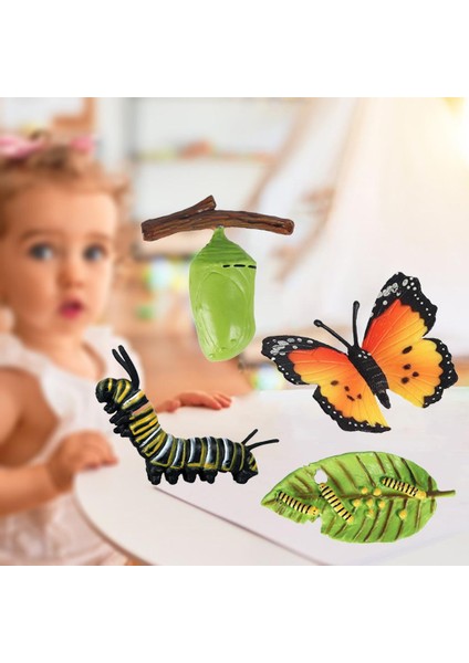 Çocuklar Böcek Yaşam Döngüsü Kelebek Büyüme Playset Hayal Gibi Iogy Oyuncaklar B (Yurt Dışından) fırsatları