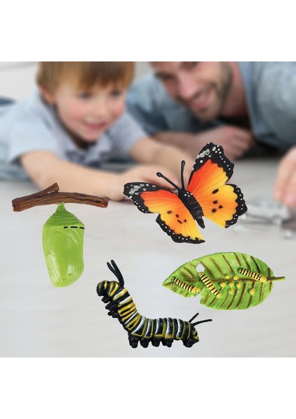 Çocuklar Böcek Yaşam Döngüsü Kelebek Büyüme Playset Hayal Gibi Iogy Oyuncaklar B (Yurt Dışından) indirimleri