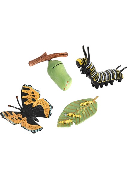Kelebek Yaşam Döngüsü Katı Plastik Oyuncak Vahşi Hayvan Böcek Büyüme Döngüsü Öğretim Yardımı (Yurt Dışından) modelleri