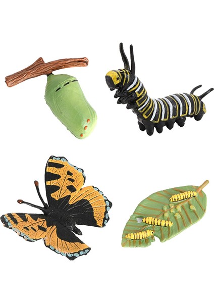 Kelebek Yaşam Döngüsü Katı Plastik Oyuncak Vahşi Hayvan Böcek Büyüme Döngüsü Öğretim Yardımı (Yurt Dışından) fırsatları