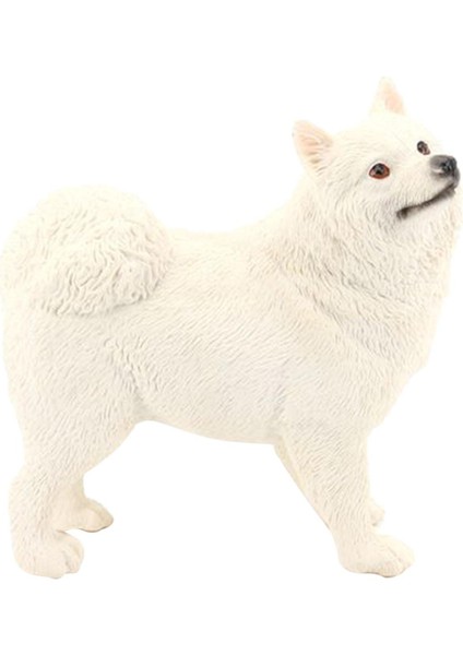 Gerçekçi Samoyed Model Öğrenme Bpa Ücretsiz Köpek Figürinler 6 Yaş ve Üstü Beyaz (Yurt Dışından)