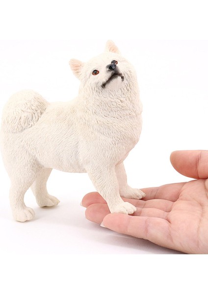 Gerçekçi Samoyed Model Öğrenme Bpa Ücretsiz Köpek Figürinler 6 Yaş ve Üstü Beyaz (Yurt Dışından)