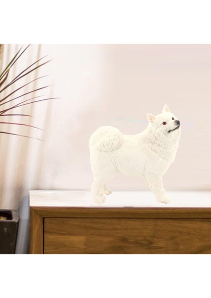 Gerçekçi Samoyed Model Öğrenme Bpa Ücretsiz Köpek Figürinler 6 Yaş ve Üstü Beyaz (Yurt Dışından)